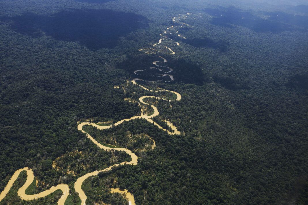 Por que a terra yanomami interessa tanto a garimpeiros - 08/02/2023 - Ambiente