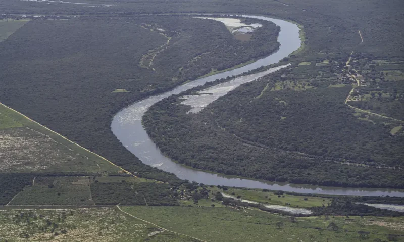 Desmatamento na Mata Atlântica diminui em áreas contínuas entre 2022 e 2023