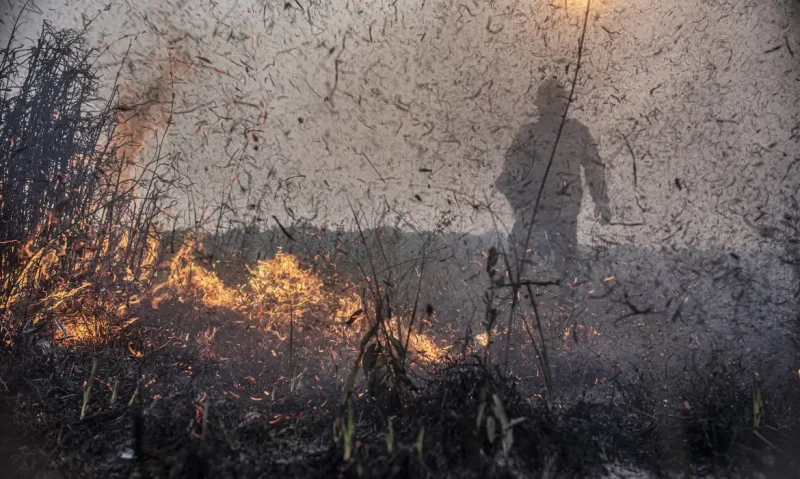 Focos de incêndio no Brasil registram aumento de 76% em relação a 2023