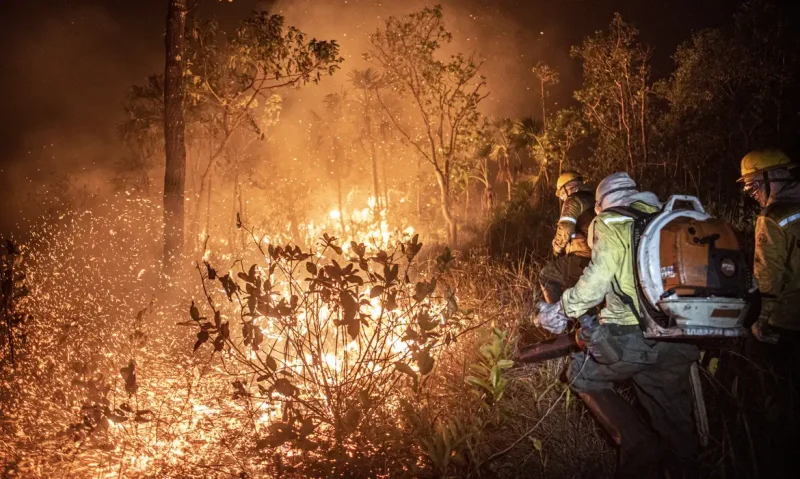 Incêndios no Brasil: 11