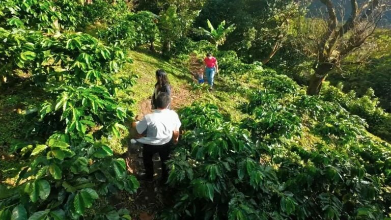Interior do bar de café no Four Seasons Bangkok