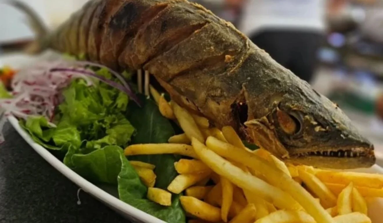 Ambiente da Cabana do Rock