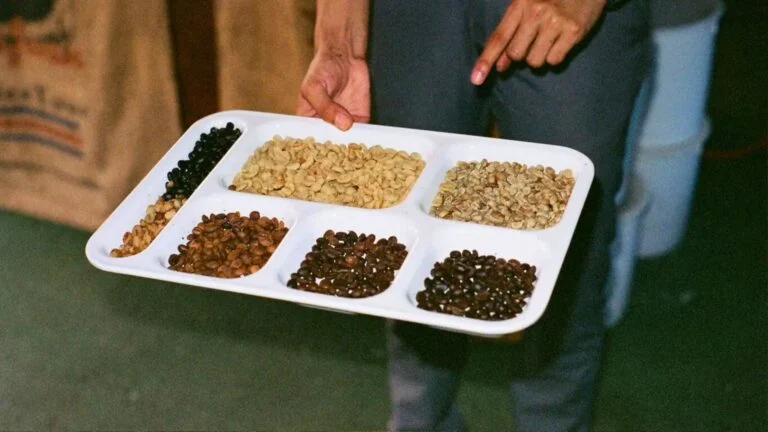 Utensílios para preparo de café na Costa Rica